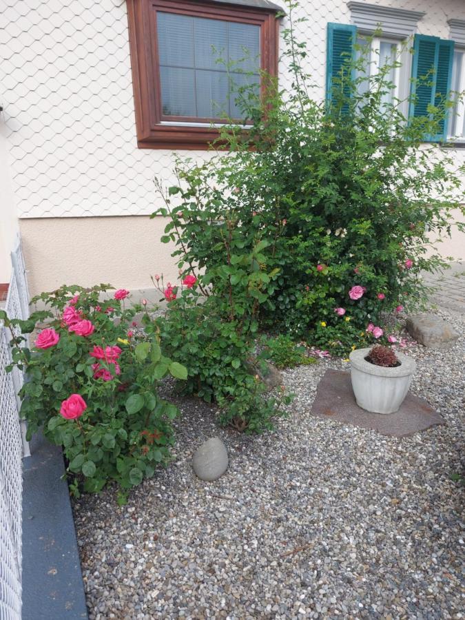 Und Brunner Hoechst